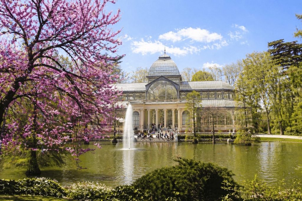 Cómo sacar las mejores fotos de primavera en Madrid