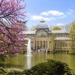 Cómo sacar las mejores fotos de primavera en Madrid