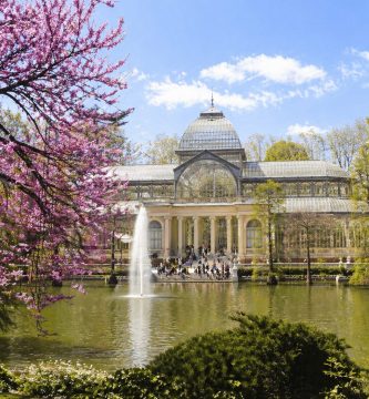 Cómo sacar las mejores fotos de primavera en Madrid